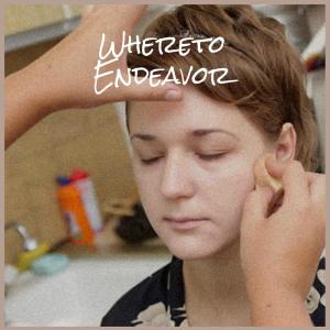 Album Whereto Endeavor from Various