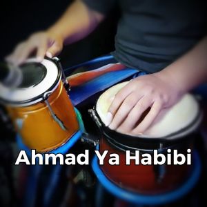 Album Ahmad Ya Habibi from KOPLO AGAIN