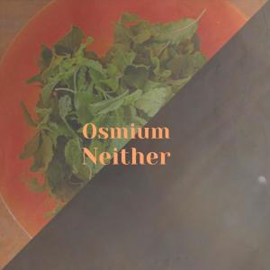 Album Osmium Neither from Various