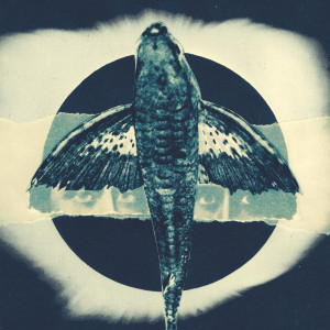 收听Mercure的Intercourses歌词歌曲