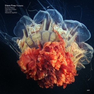 ดาวน์โหลดและฟังเพลง The Light of the Lights พร้อมเนื้อเพลงจาก Silent Fires