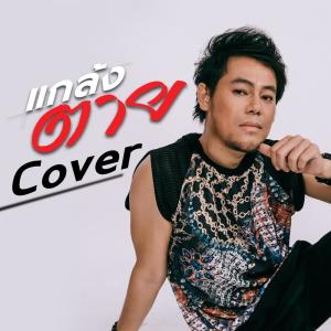 收聽PETCHTAN的แกล้งตาย (Cover Version)歌詞歌曲