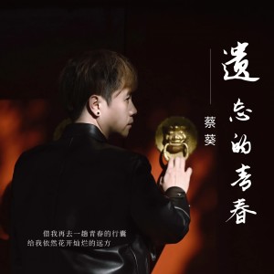 Album 遗忘的青春 from 蔡镇泽