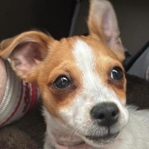 收聽lil guthi的control歌詞歌曲