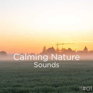 Dengarkan Sleep Meditation lagu dari Sleep Sounds of Nature dengan lirik