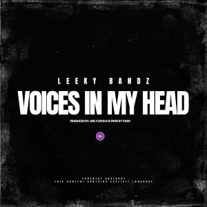 Album Voices In My Head (Explicit) from Leeky Bandz