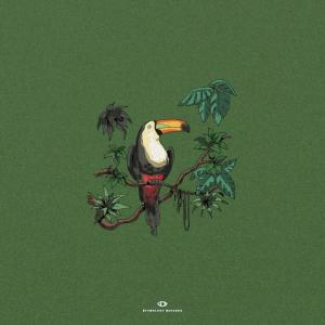 Listen to Brazilian Vibes song with lyrics from Dj J.L.P