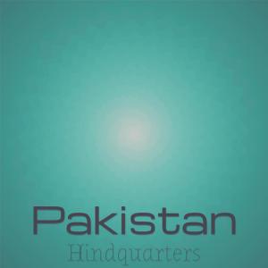 Various Artists的專輯Pakistan Hindquarters