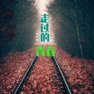 Album 走过的青春 from 李雨伦