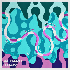 Listen to THAW (MaL Remix) song with lyrics from acharu
