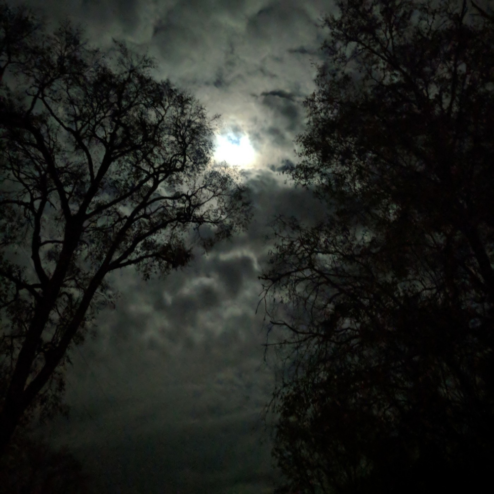 Moonlight (Explicit)
