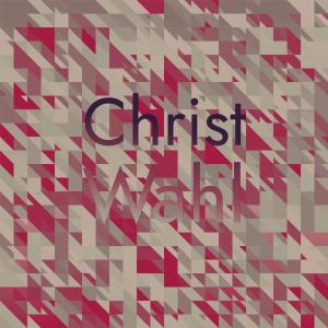 Various的专辑Christ Wahl