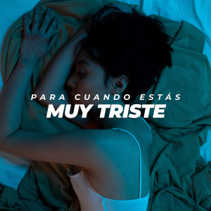 ดาวน์โหลดและฟังเพลง Corazón Gitano พร้อมเนื้อเพลงจาก Sergio Dalma