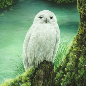 Album Whiite Owl oleh Moglii