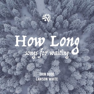 Erin Bode的專輯How Long (Songs for Waiting)