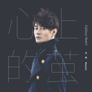 收听王凯的心上的茧歌词歌曲