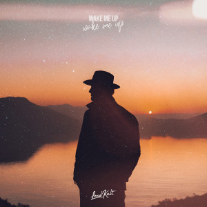Album Wake Me Up from 