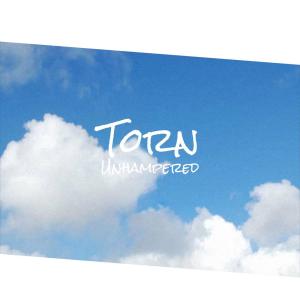 Listen to Torn Unhampered song with lyrics from Livy
