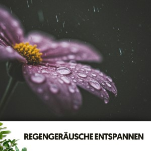 Regengeräusche的專輯Regengeräusche entspannen: Melodien des Sturms