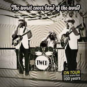 收聽The Worst Cover Band Of The World的Don't Wake Me Up (Too Much Light in This Window)歌詞歌曲