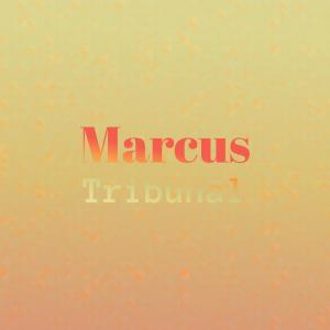 Album Marcus Tribunal from Various