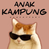 default album img