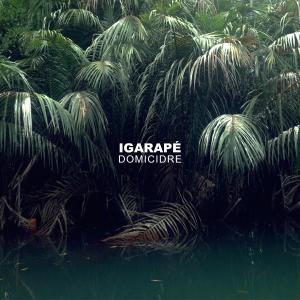 Domicidre的專輯Igarapé