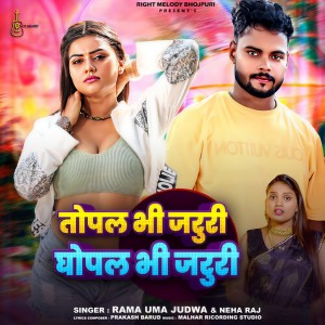 Listen to Topal Bhi Jaruri Ghopal Bhi Jaruri song with lyrics from Rama Uma Judwa