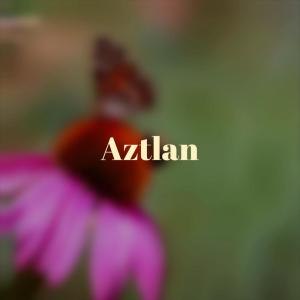 Various Artists的專輯Aztlan