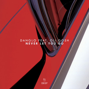 Album Never Let You Go from Danglo
