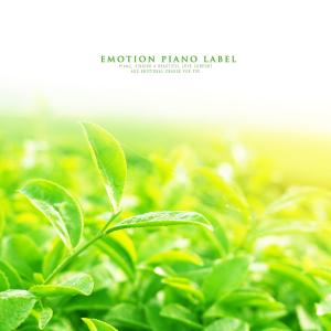 Album Healing Piano Collection oleh Various Artists