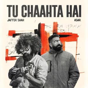 อัลบัม Tu Chaahta Hai (feat. Jeemsejaffer & Audiocrackerr) ศิลปิน AudioCrackerr