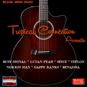 Various Artists的專輯Tropical Connection