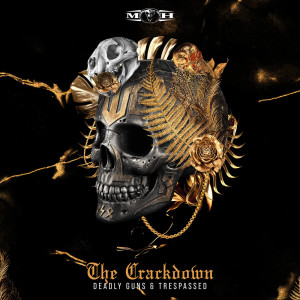 ดาวน์โหลดและฟังเพลง The Crackdown (Explicit) พร้อมเนื้อเพลงจาก Deadly Guns
