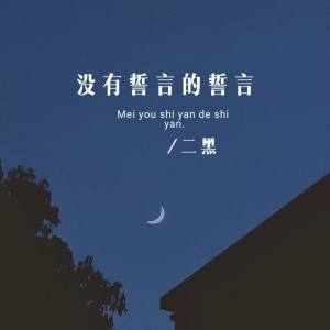 Album 没有誓言的誓言 from 二黑