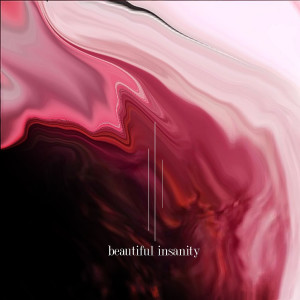 Elijah Jones的專輯Beautiful Insanity