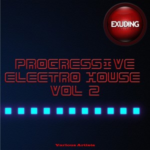 Various Artists的專輯Progressive Electro House, Vol. 2