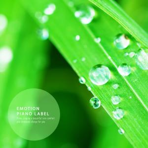 Listen to A Happy Day song with lyrics from Piano Sugar