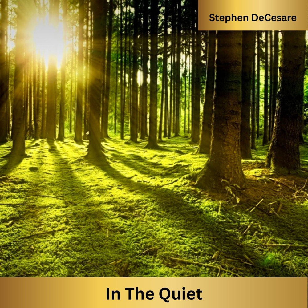 In the Quiet