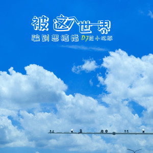 Listen to 被这个世界骗到想结婚 (DJ范小松版) song with lyrics from 搁浅的鱼.