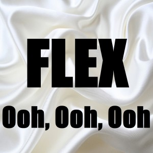 Flex (Ooh, Ooh, Ooh) (In the Style of Rich Homie Quan) [Karaoke Version] - Single