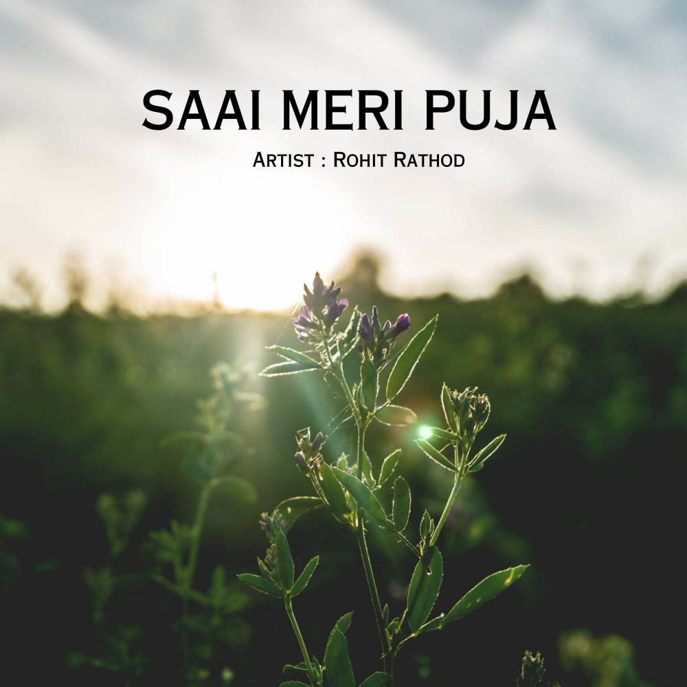 Saai Meri Puja