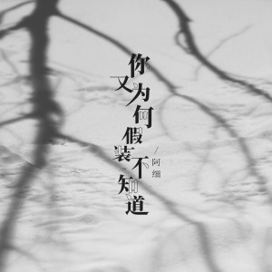 Listen to 你又为何假装不知道 (伴奏) song with lyrics from 阿细