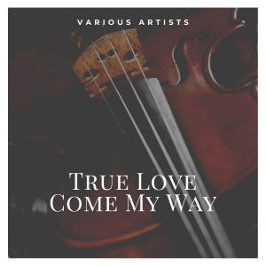 Listen to True Love Come My Way song with lyrics from Larry Diamond