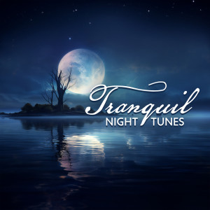 Dengarkan lagu Moonlit Zen Escape nyanyian Deep Sleep System dengan lirik