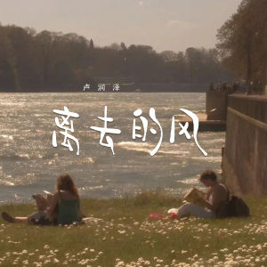 卢润泽的专辑离去的风