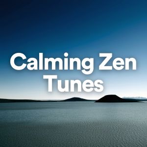Album Calming Zen Tunes from Sleep Music Lullabies