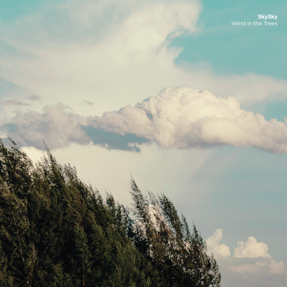 Wind in The Trees