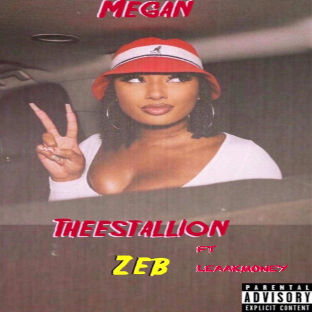 MEGAN THEESTALLION (feat. Leaakmoney) (Explicit)
