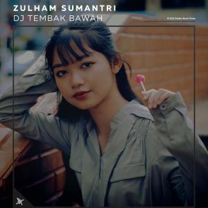 Zulham Sumantri的专辑DJ Tembak Bawah (Explicit)